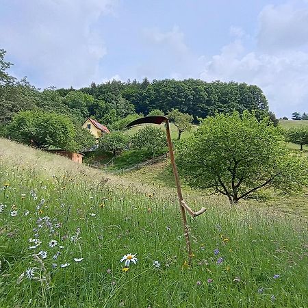 Ferienhaus Grabenhansl Stubenberg Bagian luar foto