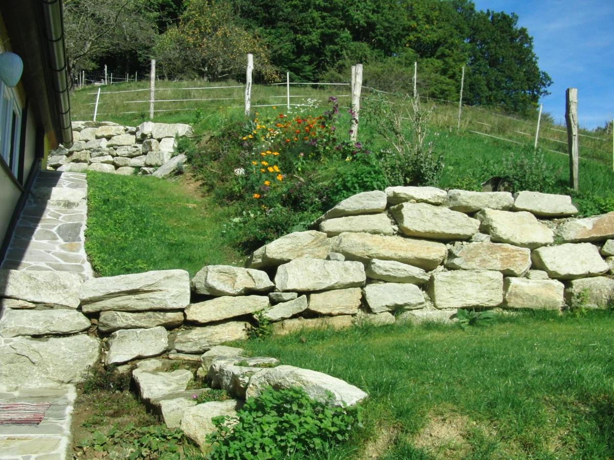Ferienhaus Grabenhansl Stubenberg Bagian luar foto