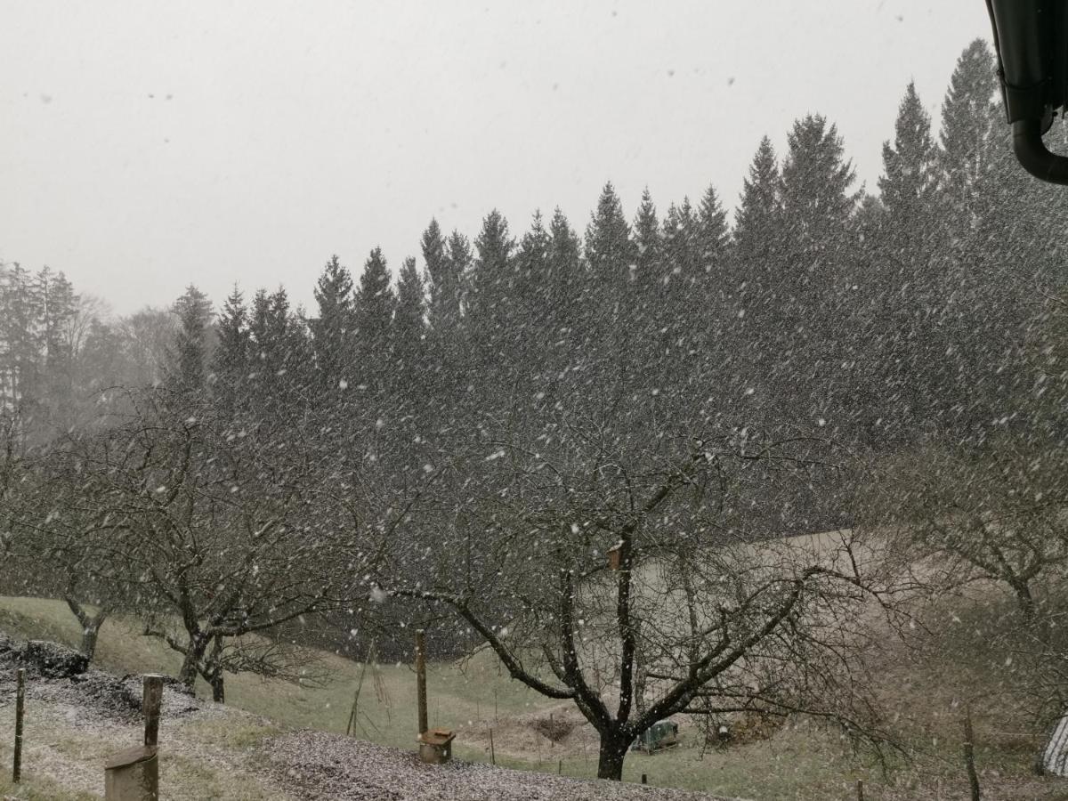Ferienhaus Grabenhansl Stubenberg Bagian luar foto