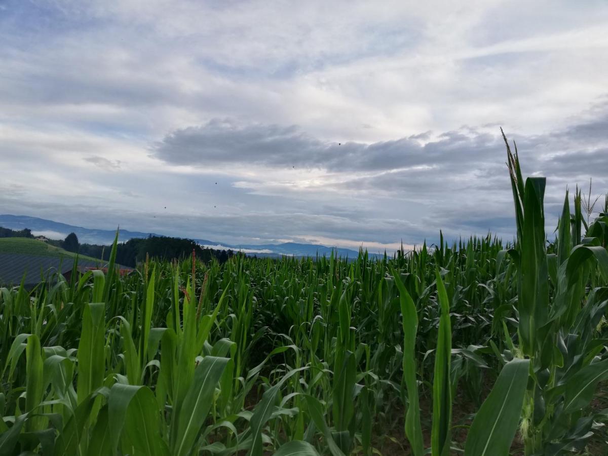 Ferienhaus Grabenhansl Stubenberg Bagian luar foto