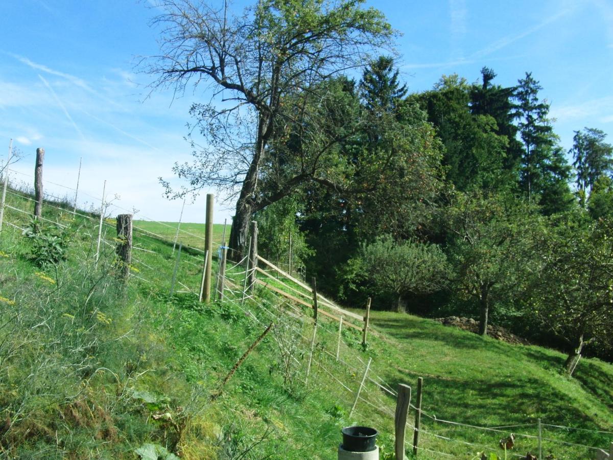 Ferienhaus Grabenhansl Stubenberg Bagian luar foto