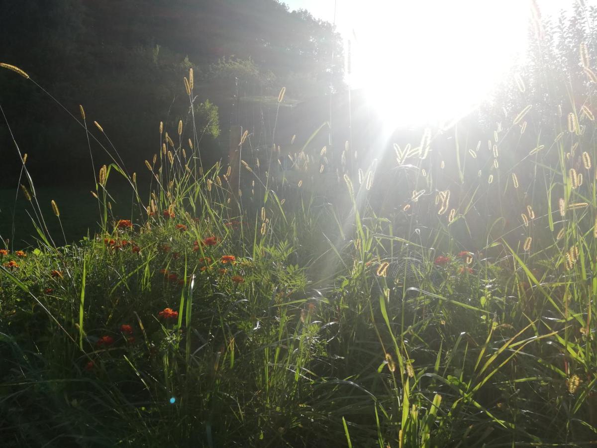 Ferienhaus Grabenhansl Stubenberg Bagian luar foto