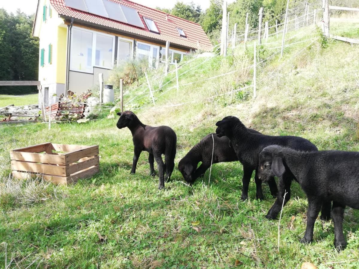 Ferienhaus Grabenhansl Stubenberg Bagian luar foto