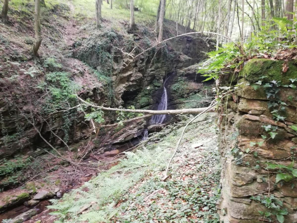 Ferienhaus Grabenhansl Stubenberg Bagian luar foto