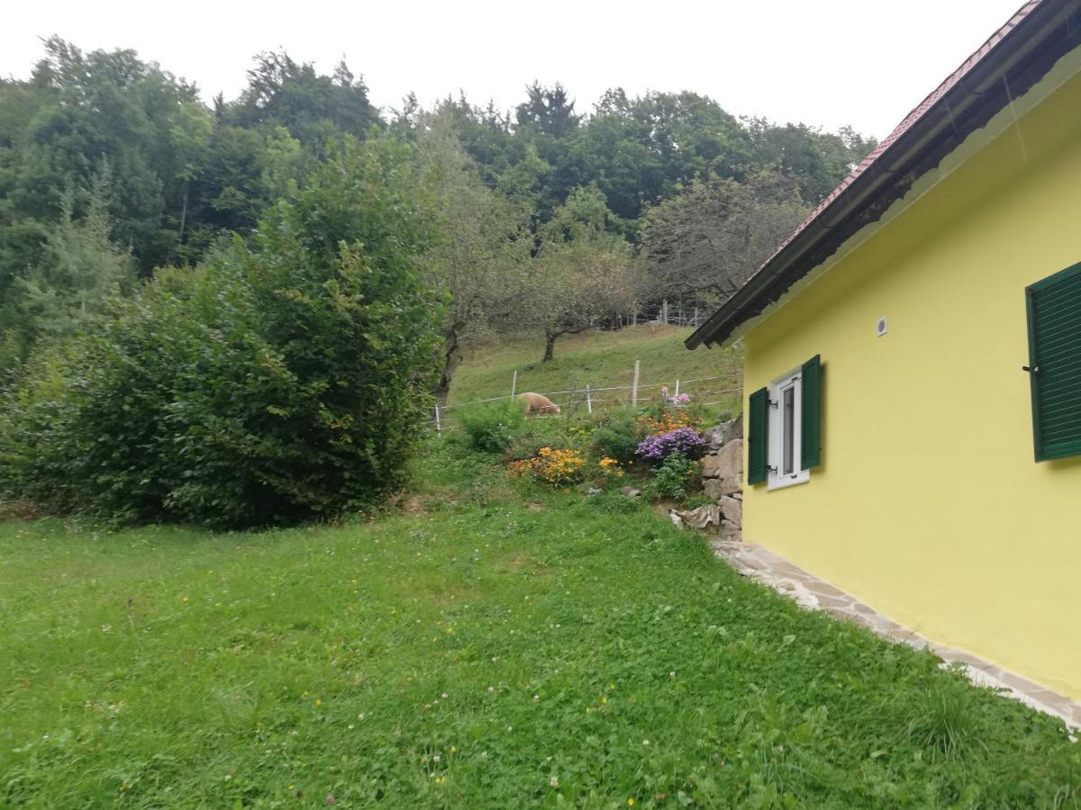 Ferienhaus Grabenhansl Stubenberg Bagian luar foto