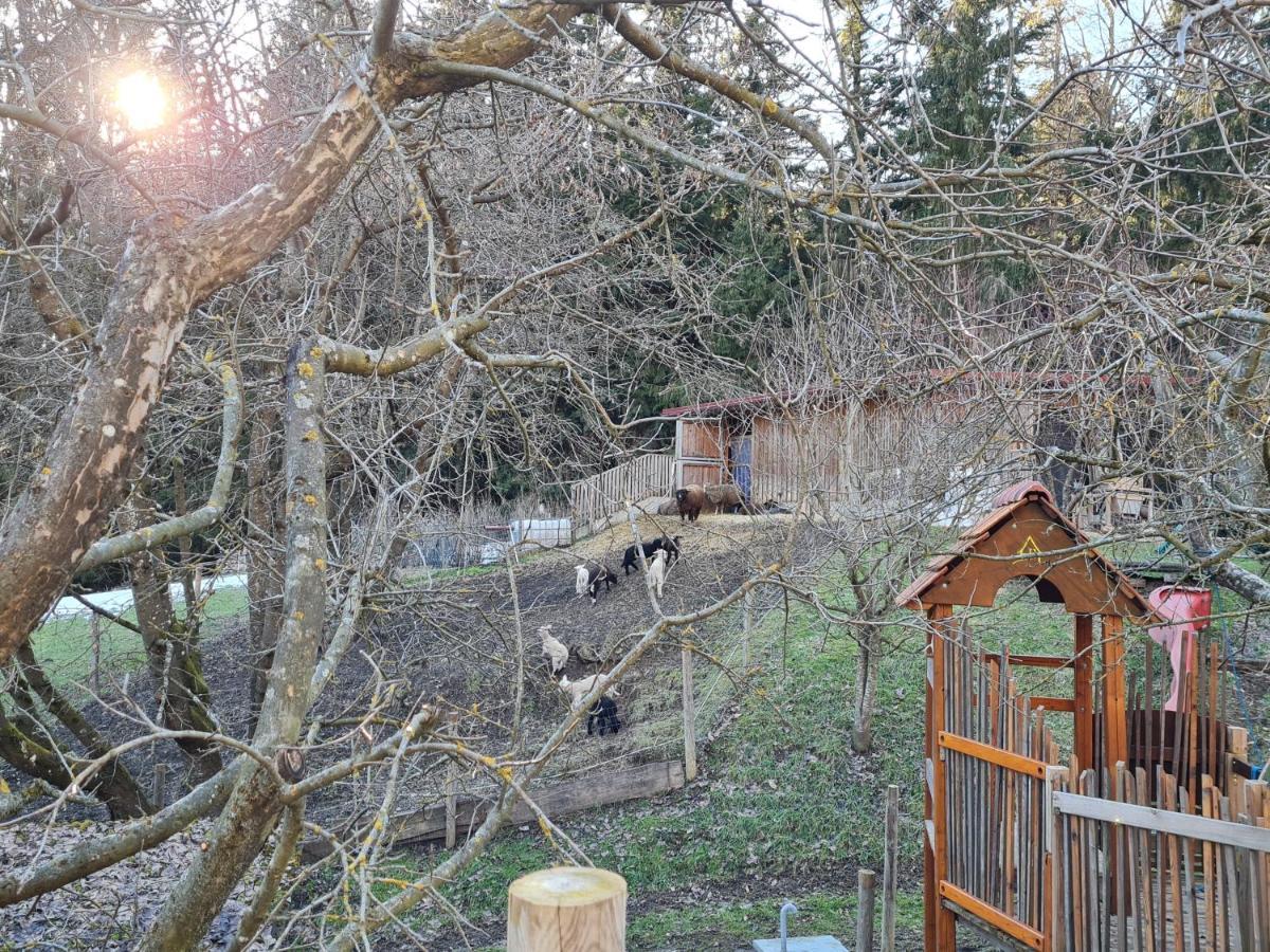 Ferienhaus Grabenhansl Stubenberg Bagian luar foto
