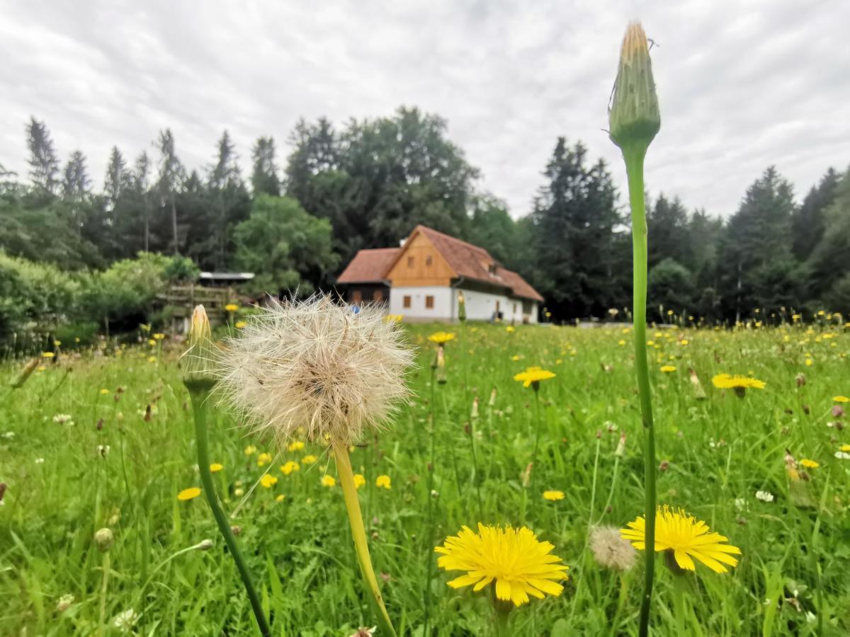 Ferienhaus Grabenhansl Stubenberg Bagian luar foto