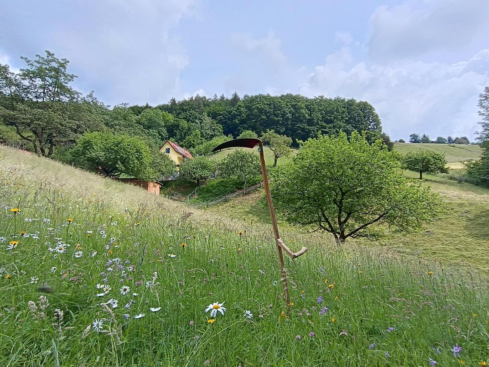 Ferienhaus Grabenhansl Stubenberg Bagian luar foto