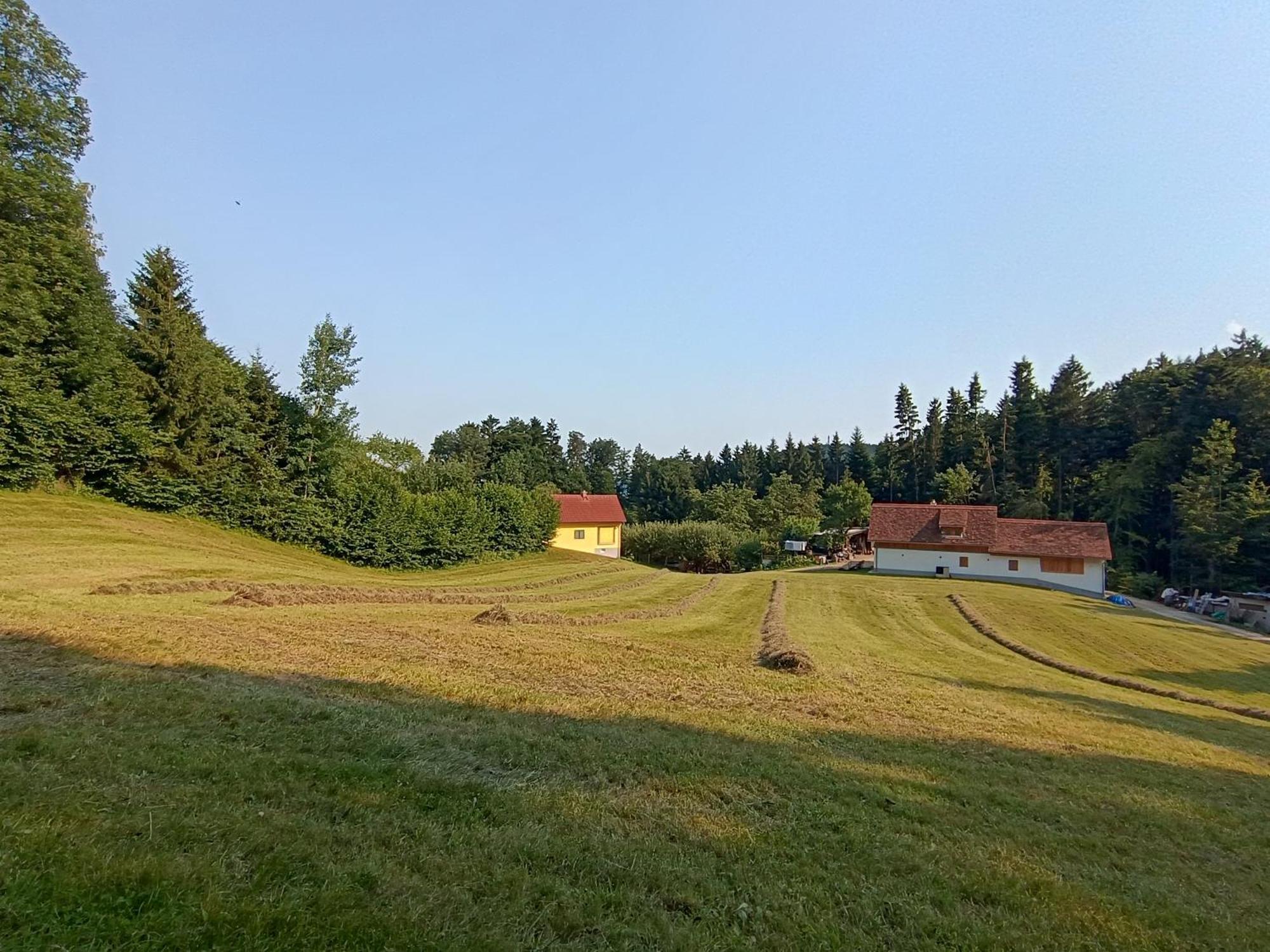 Ferienhaus Grabenhansl Stubenberg Bagian luar foto