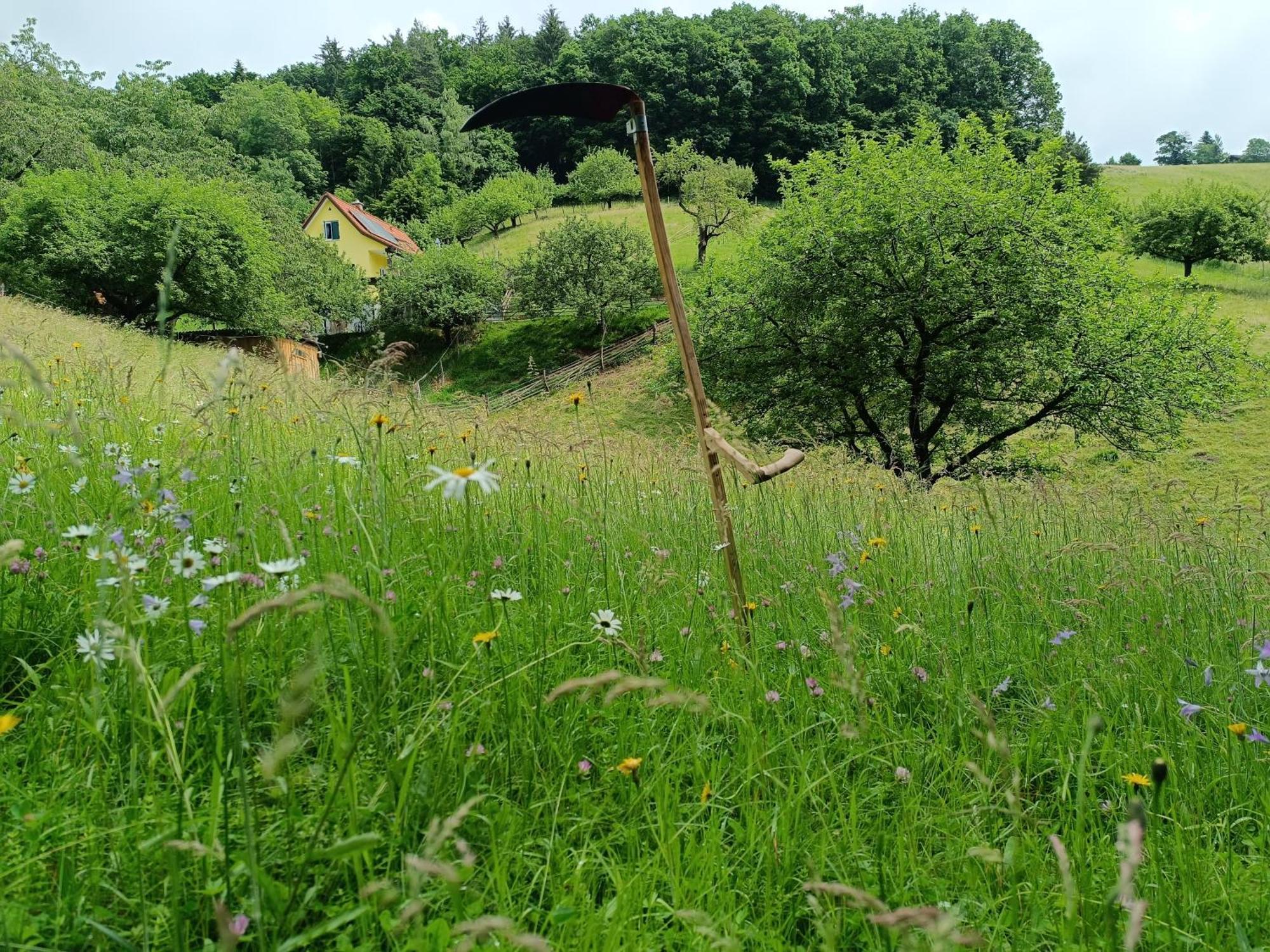 Ferienhaus Grabenhansl Stubenberg Bagian luar foto